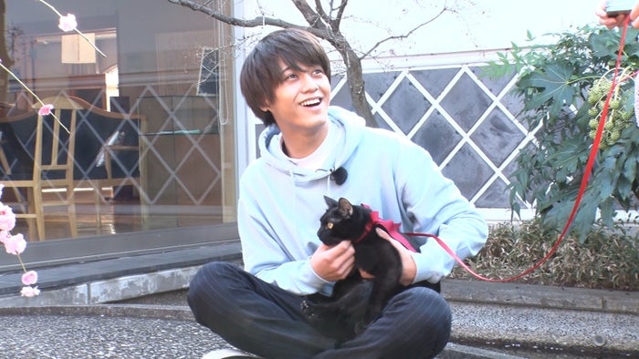 キンプリ(king & prince)　爆笑天然エピソード集！